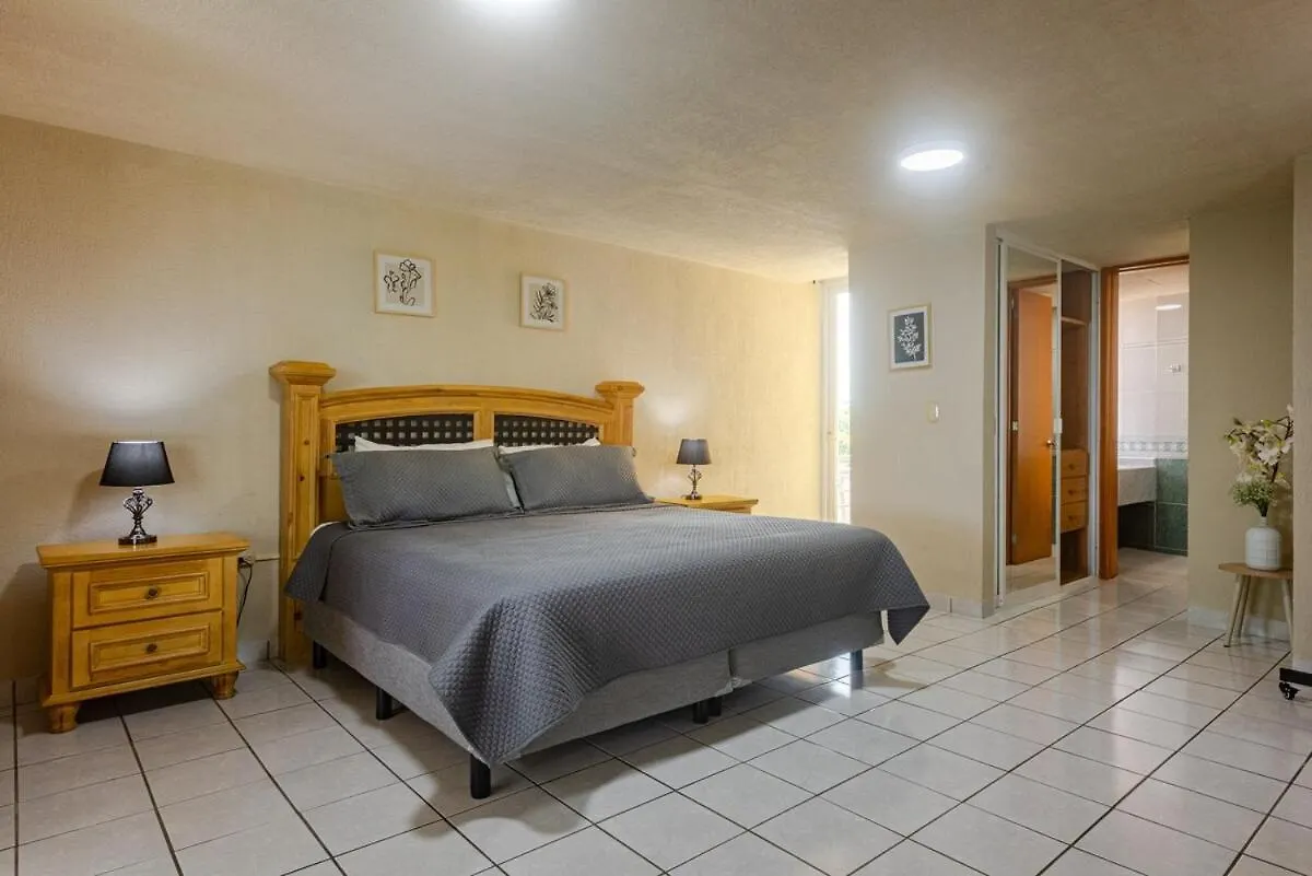 Amazing Oceanfront Condominium In Downtown Cozumel Apartment